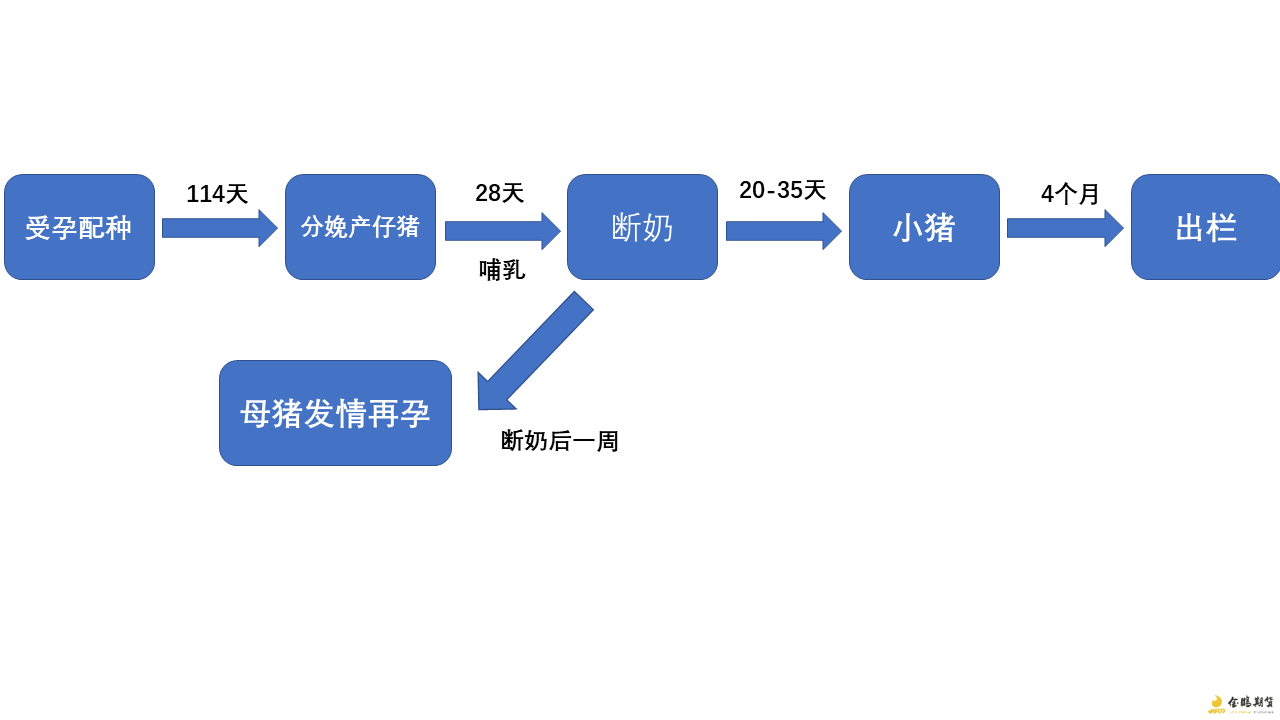 bti体育·(中国)官方网站APP下载