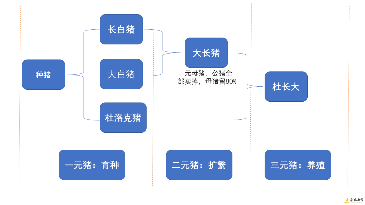 bti体育·(中国)官方网站APP下载