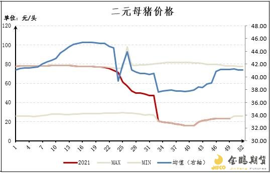 二元母猪